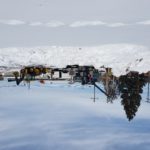 Excavating for the Replacement of a Utility Pole